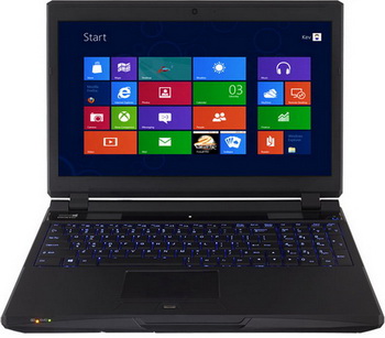 Pioneer Computers P17HW